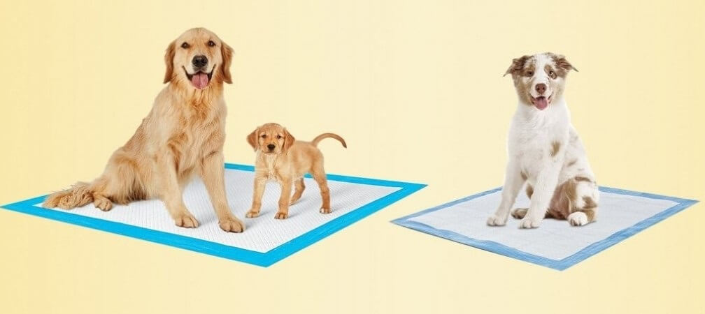 Free Dog Training Potty Pads