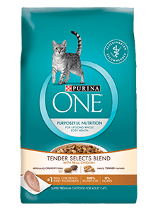 Free Purina One Pet Food Sample