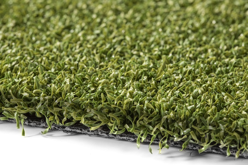 Free BuzzGrass Artificial Grass Sample